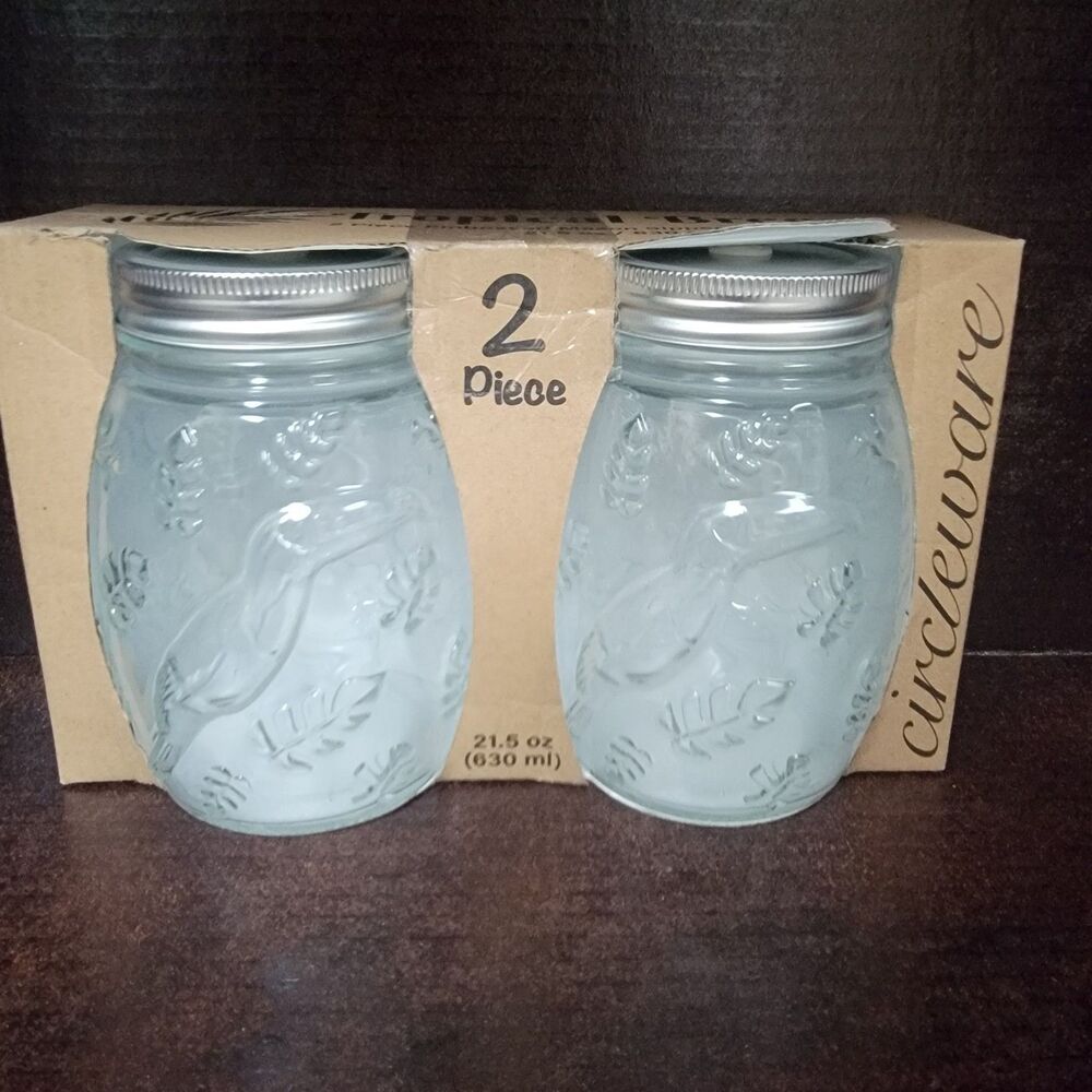 Circleware Tropical Breeze 2 Piece Embossed Mason Jar Sipper 21.5 Oz New